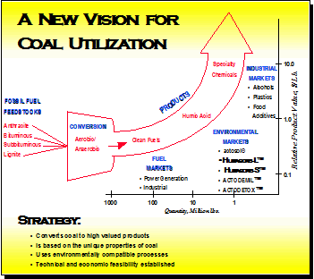 Coal vision